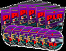 Thumbnail PLR4Newbies-Vides Create High-Demand,Quality Digital Product